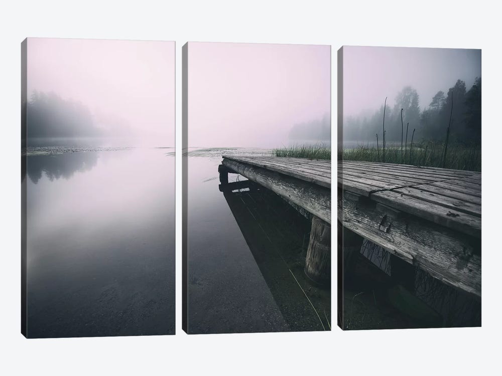 Nature II by Andreas Stridsberg 3-piece Canvas Artwork