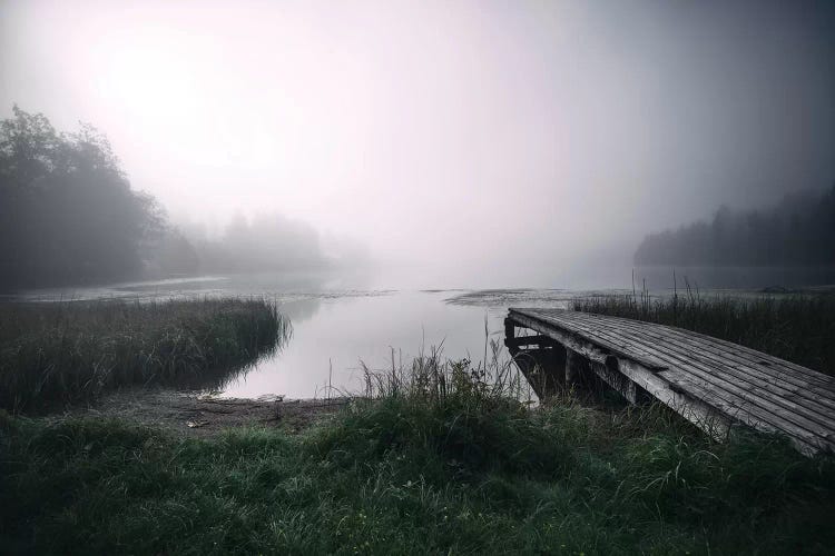 Alone by Andreas Stridsberg wall art