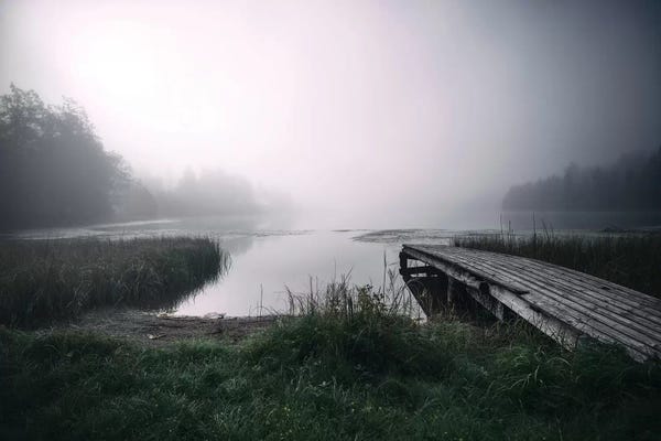 Andreas Stridsberg: Alone by Andreas Stridsberg