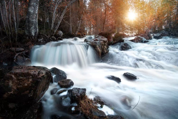 Autumn River