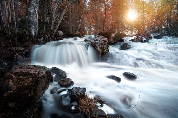 Autumn River