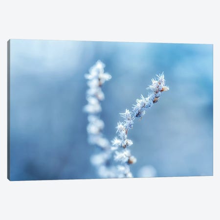 Cold And Sharp Canvas Print #STR173} by Andreas Stridsberg Canvas Artwork