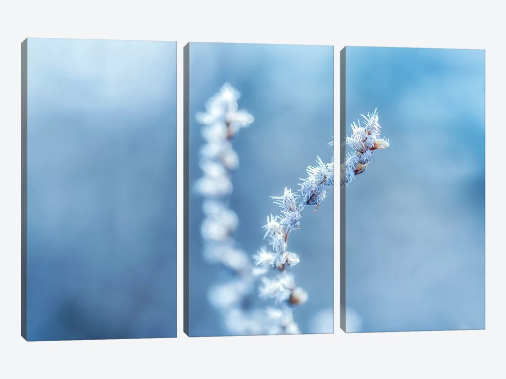 Cold And Sharp by Andreas Stridsberg 3-piece Canvas Wall Art