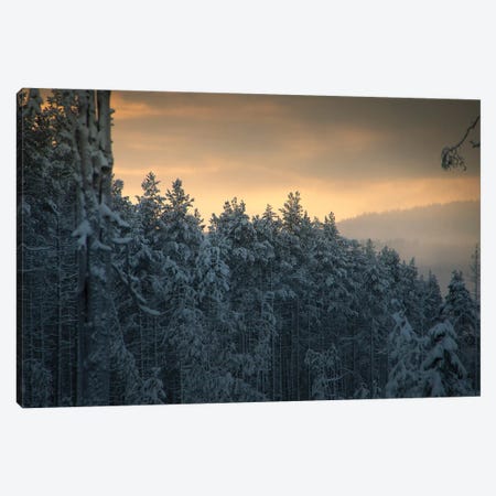 End Of Winter Canvas Print #STR176} by Andreas Stridsberg Art Print