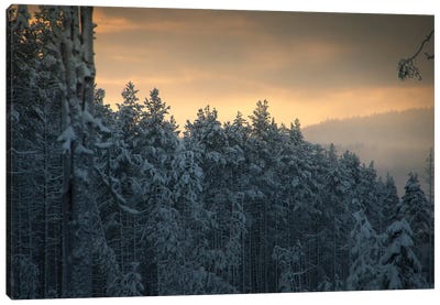 End Of Winter Canvas Art Print - Andreas Stridsberg