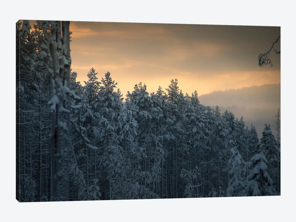 End Of Winter by Andreas Stridsberg 1-piece Canvas Print