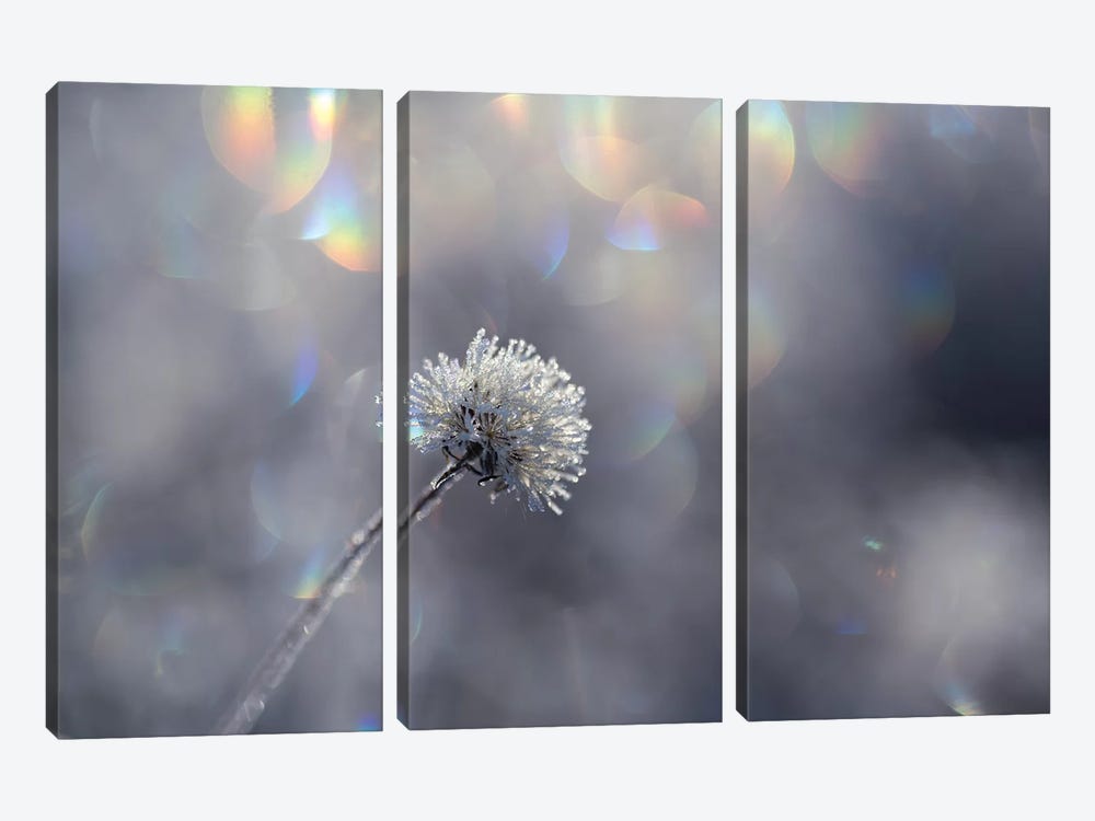 Fluffy Ice by Andreas Stridsberg 3-piece Canvas Art