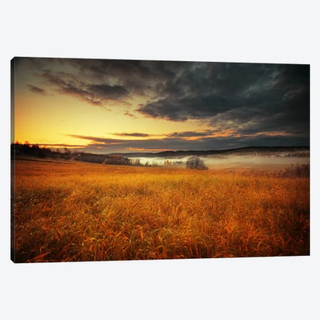 Fields Of Gold Canvas Print #STR17} by Andreas Stridsberg Canvas Art Print