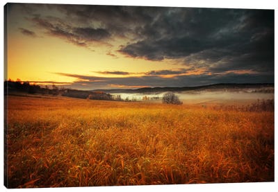 Fields Of Gold Canvas Art Print - Andreas Stridsberg