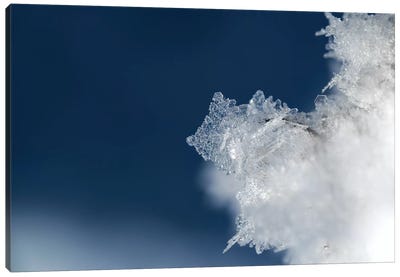 Ice Crystal Canvas Art Print - Ice & Snow Close-Up Art