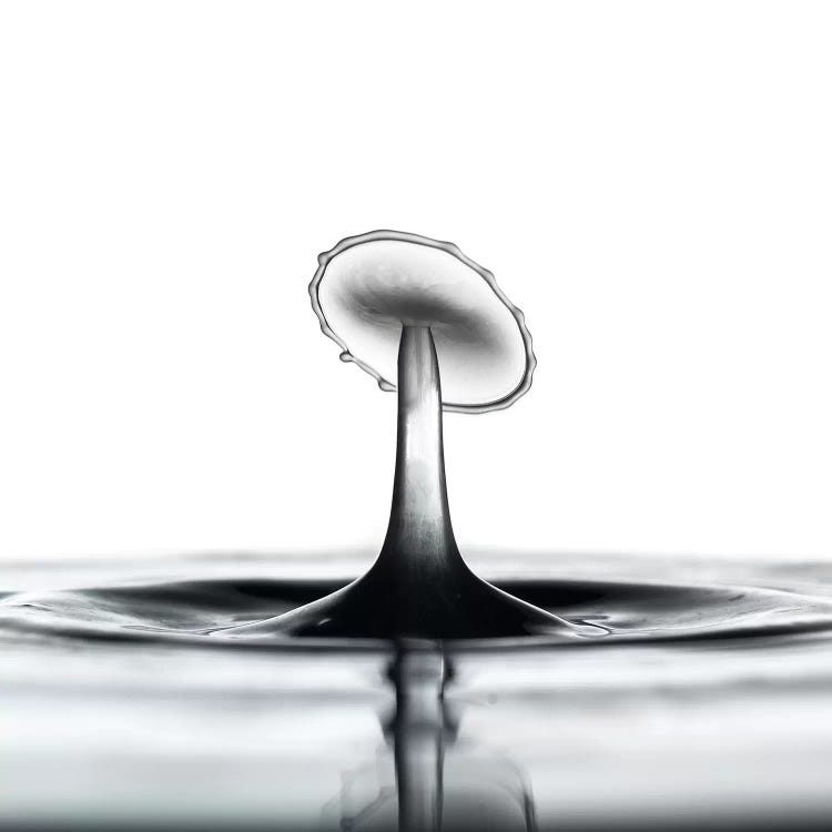 Liquid Dish by Andreas Stridsberg wall art