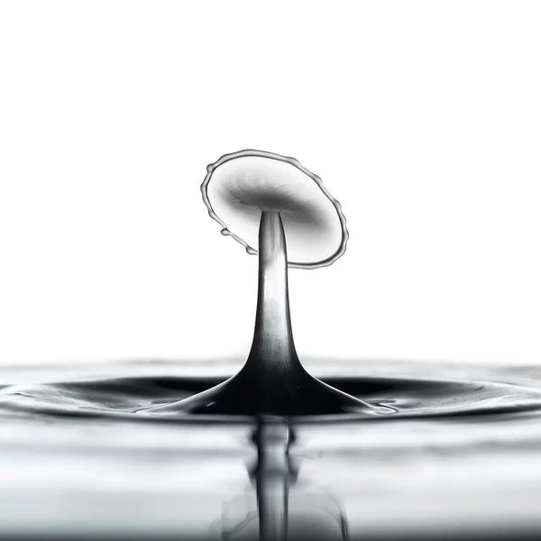 Water Close-Ups: Liquid Dish by Andreas Stridsberg