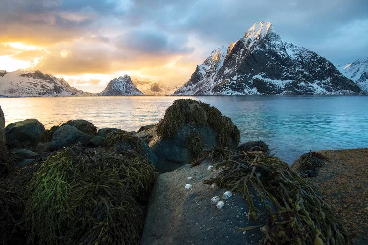 Setting Sun by Andreas Stridsberg wall art