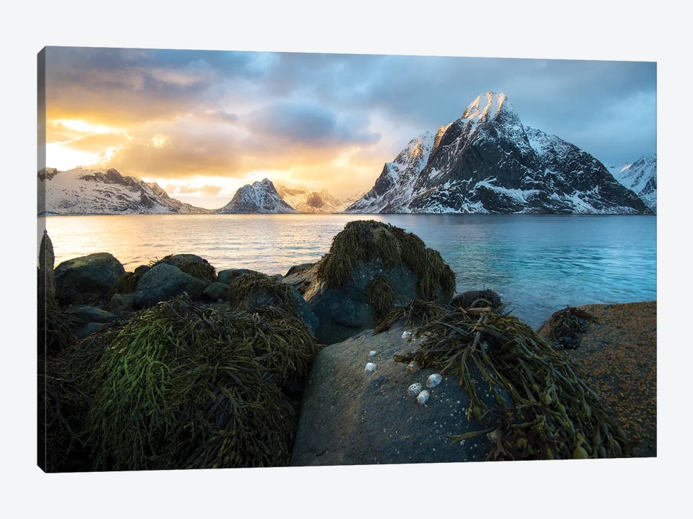 Setting Sun by Andreas Stridsberg 1-piece Canvas Print