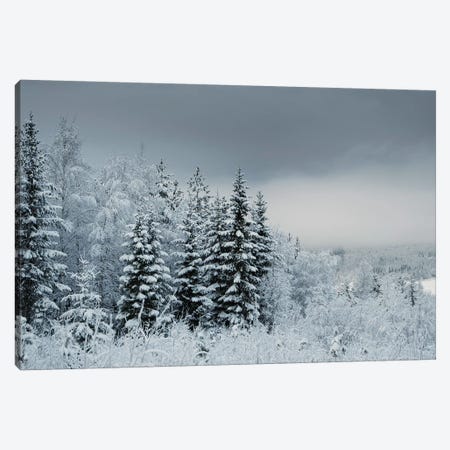 Snowy Sweden Canvas Print #STR197} by Andreas Stridsberg Canvas Print