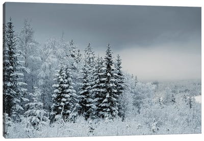 Snowy Sweden Canvas Art Print - Andreas Stridsberg