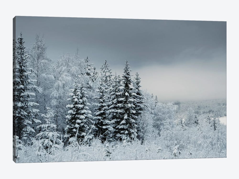 Snowy Sweden by Andreas Stridsberg 1-piece Canvas Artwork