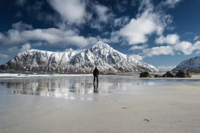 Walk Alone by Andreas Stridsberg multi panel art