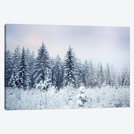Where Christmas Trees Are Born Canvas Print #STR202} by Andreas Stridsberg Canvas Wall Art