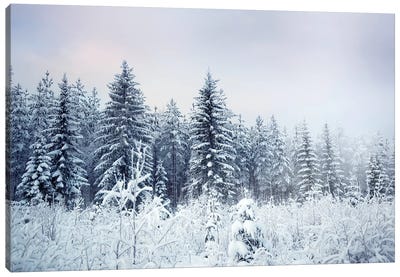 Where Christmas Trees Are Born Canvas Art Print - Winter Wonderland
