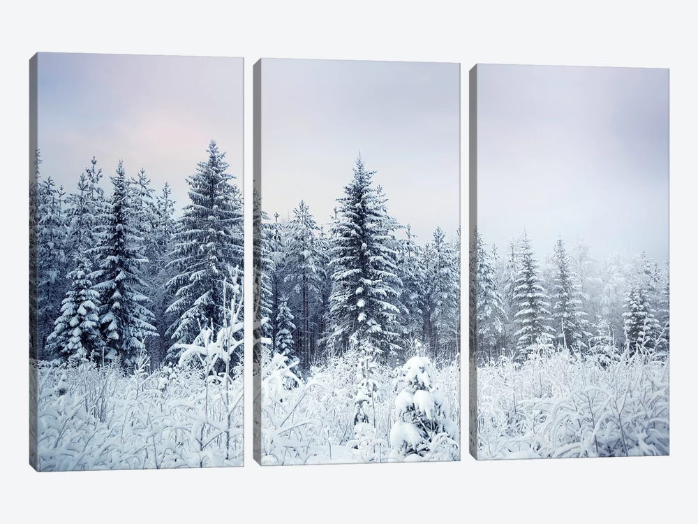Where Christmas Trees Are Born by Andreas Stridsberg 3-piece Canvas Art