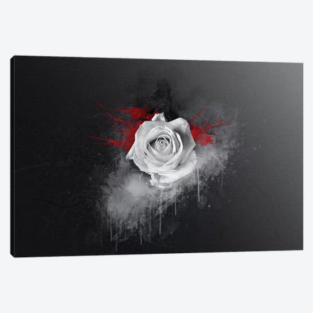 White Rose Canvas Print #STR204} by Andreas Stridsberg Canvas Print