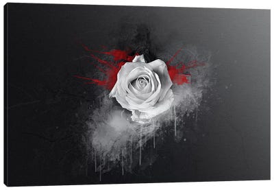 White Rose Canvas Art Print - Goth Art