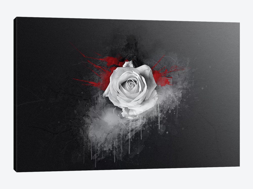 White Rose 1-piece Canvas Art
