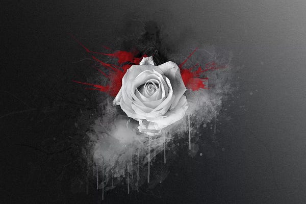 Goth Art: White Rose by Andreas Stridsberg