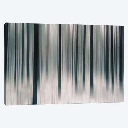 Forest In Motion Canvas Print #STR20} by Andreas Stridsberg Art Print