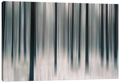Forest In Motion Canvas Art Print - Andreas Stridsberg