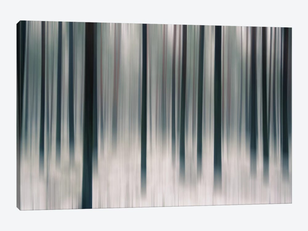Forest In Motion by Andreas Stridsberg 1-piece Canvas Wall Art