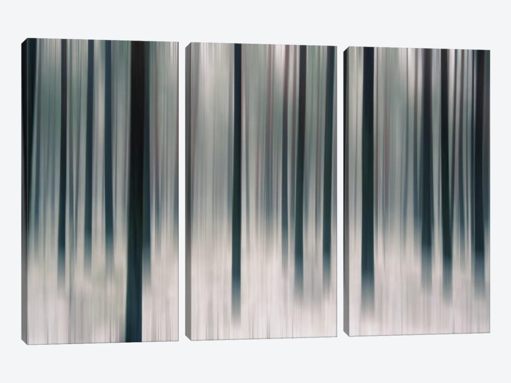 Forest In Motion by Andreas Stridsberg 3-piece Canvas Art