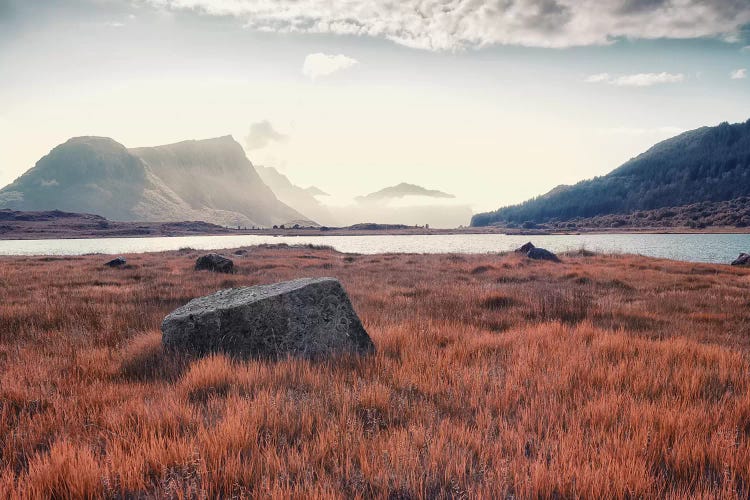 Arctic Autumn