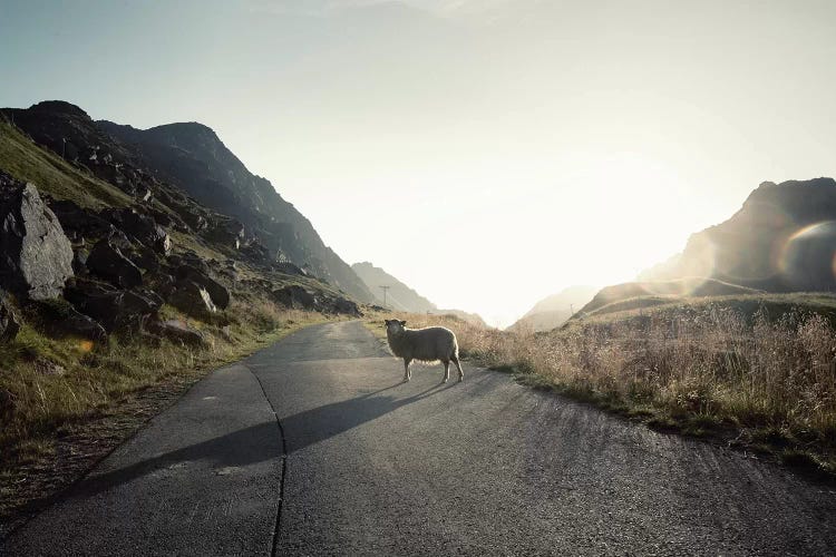 The Pass Keeper by Andreas Stridsberg wall art