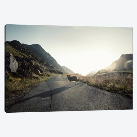 The Pass Keeper Canvas Print #STR216} by Andreas Stridsberg Canvas Wall Art