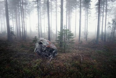 Edge Of Nowhere by Andreas Stridsberg acrylic art print