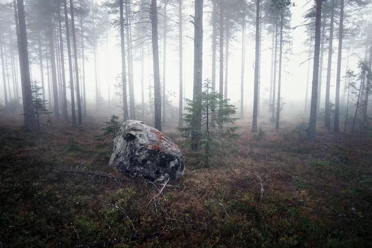Edge Of Nowhere by Andreas Stridsberg wall art