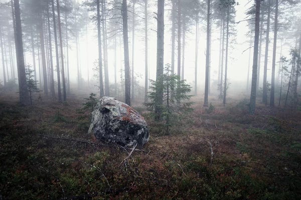 Edge Of Nowhere