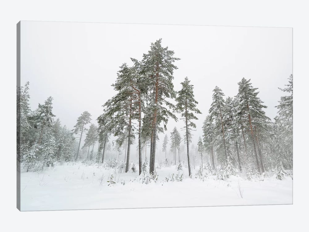 First Snow by Andreas Stridsberg 1-piece Canvas Wall Art