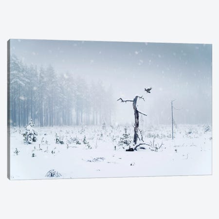 The Crow Canvas Print #STR236} by Andreas Stridsberg Canvas Art