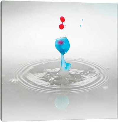 Trapped Splash Canvas Art Print - Water Art