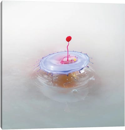 Emerged Splash Canvas Art Print - Water Art