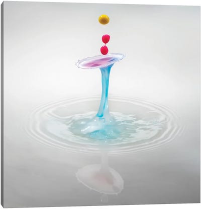 Umbrella Splash Canvas Art Print - Water Art