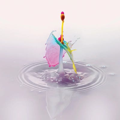 Dragon Splash by Andreas Stridsberg framed wall art