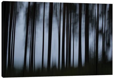 Darkness Canvas Art Print - Andreas Stridsberg