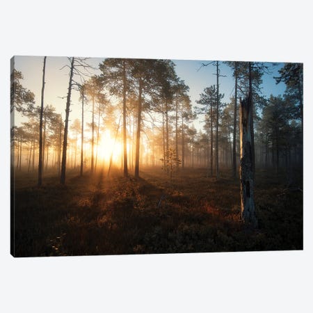Morning Glow Canvas Print #STR245} by Andreas Stridsberg Canvas Print