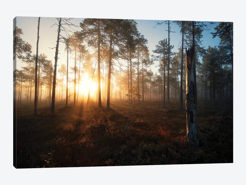 Morning Glow by Andreas Stridsberg 1-piece Art Print