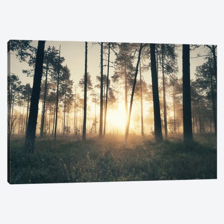 The Secret Forest Canvas Print #STR249} by Andreas Stridsberg Canvas Wall Art