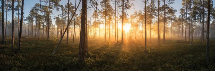 Panorama Of Silence by Andreas Stridsberg wall art
